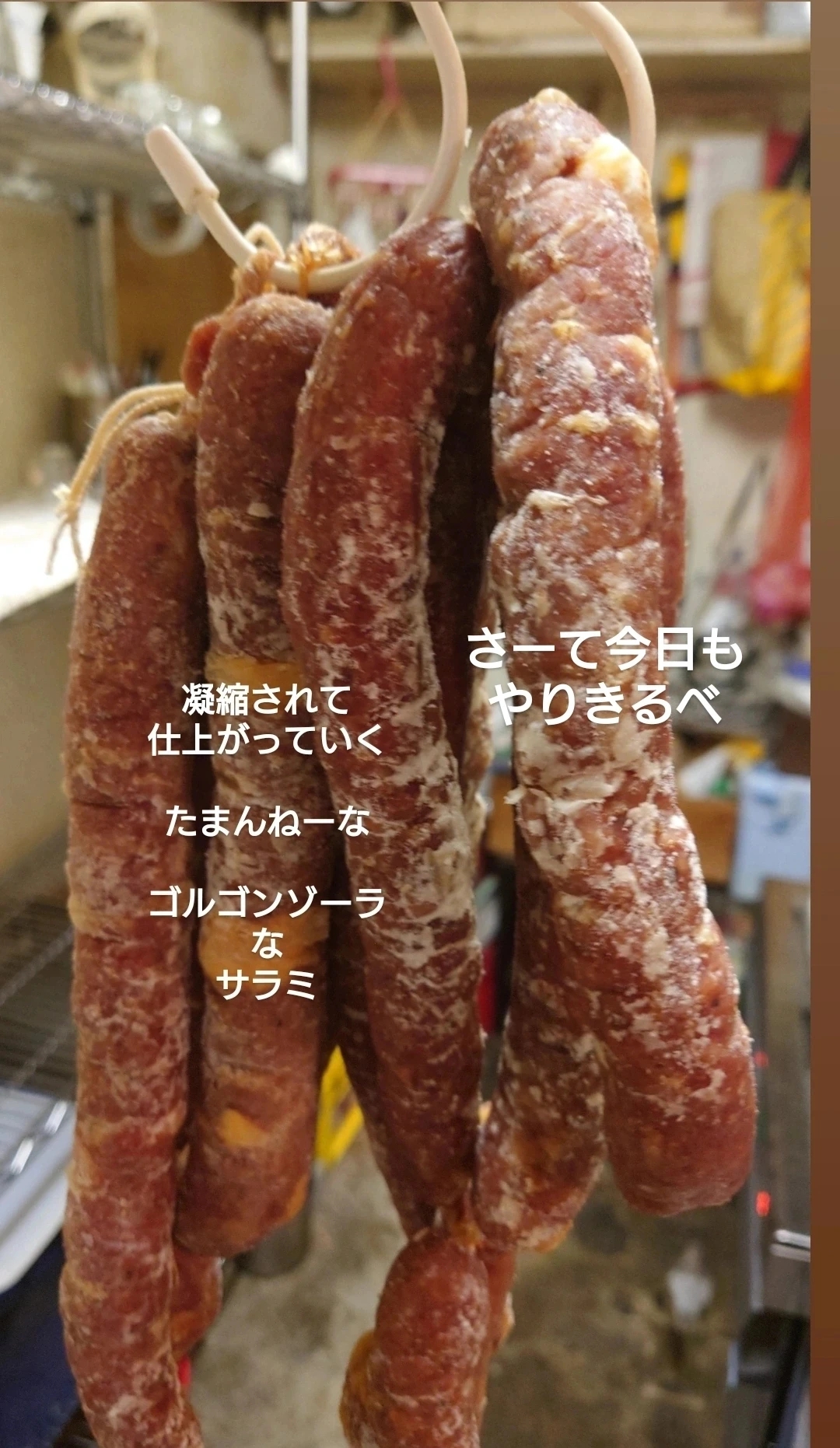 旨味が凝縮っ！