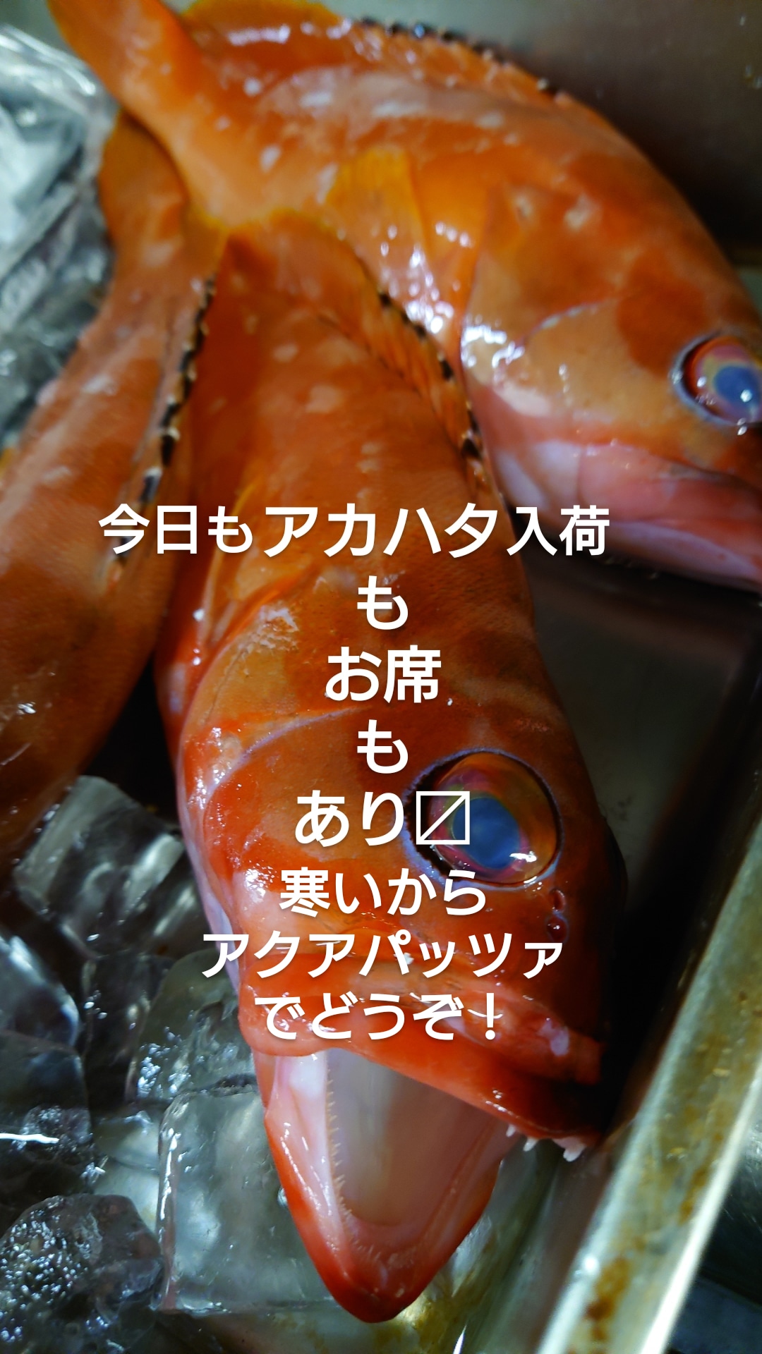 ええわー！