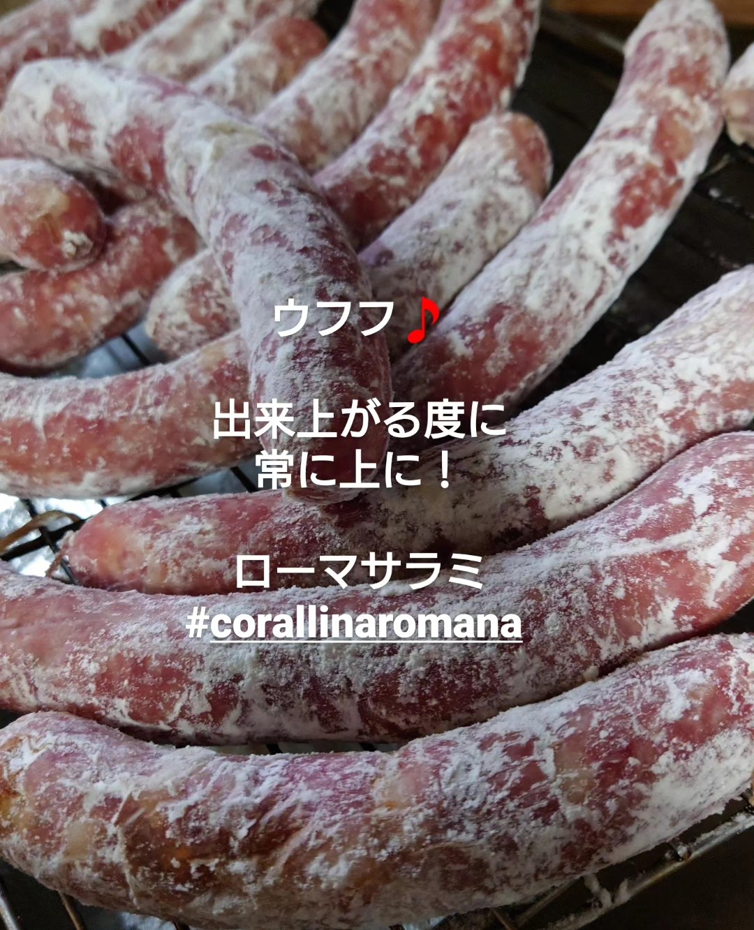 パンパカパーン🎵