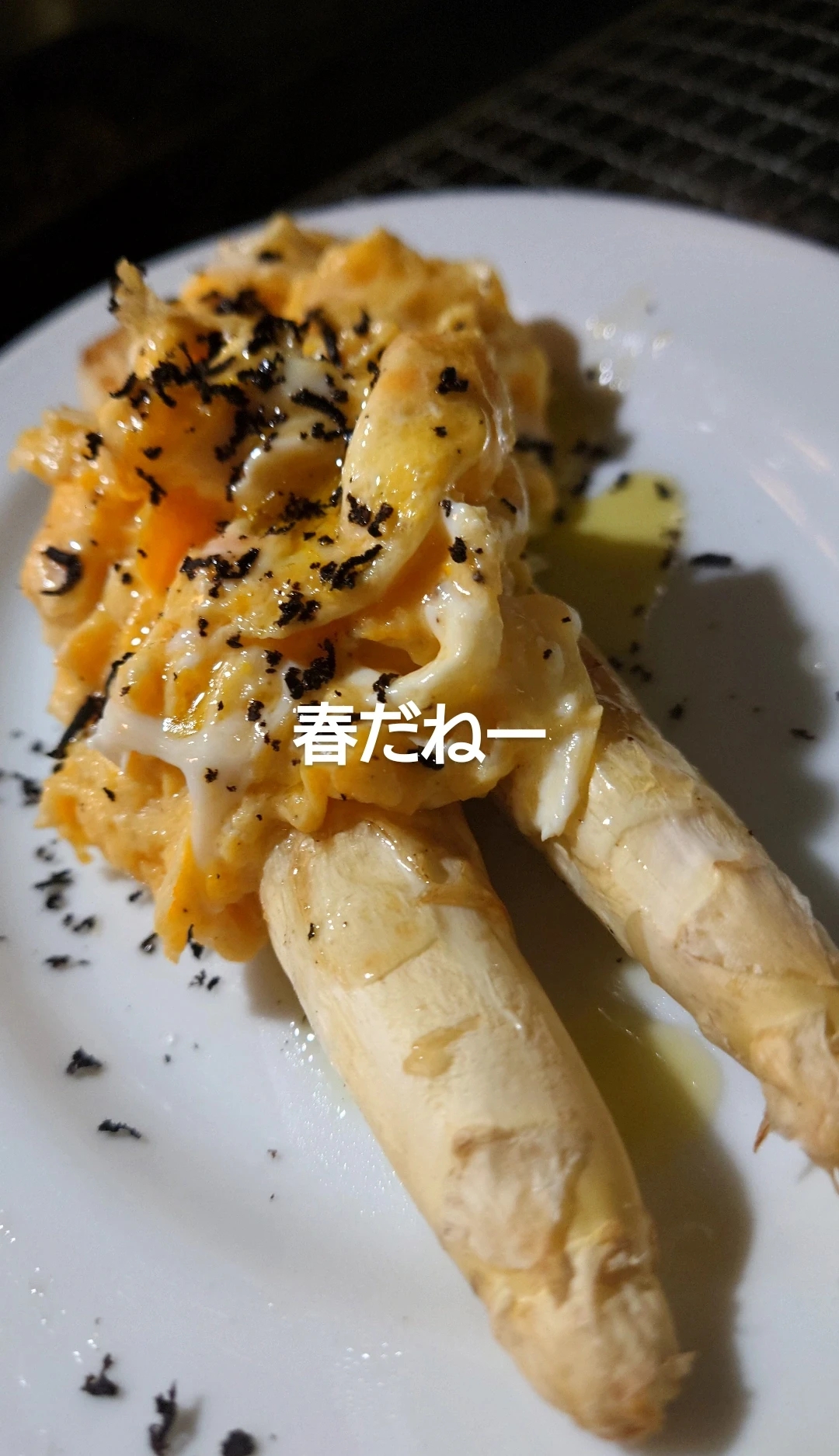 春きたるっ？
