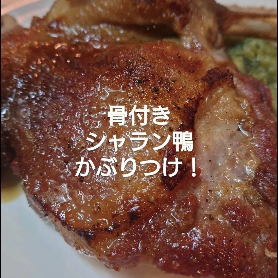 かぶりつけ！！