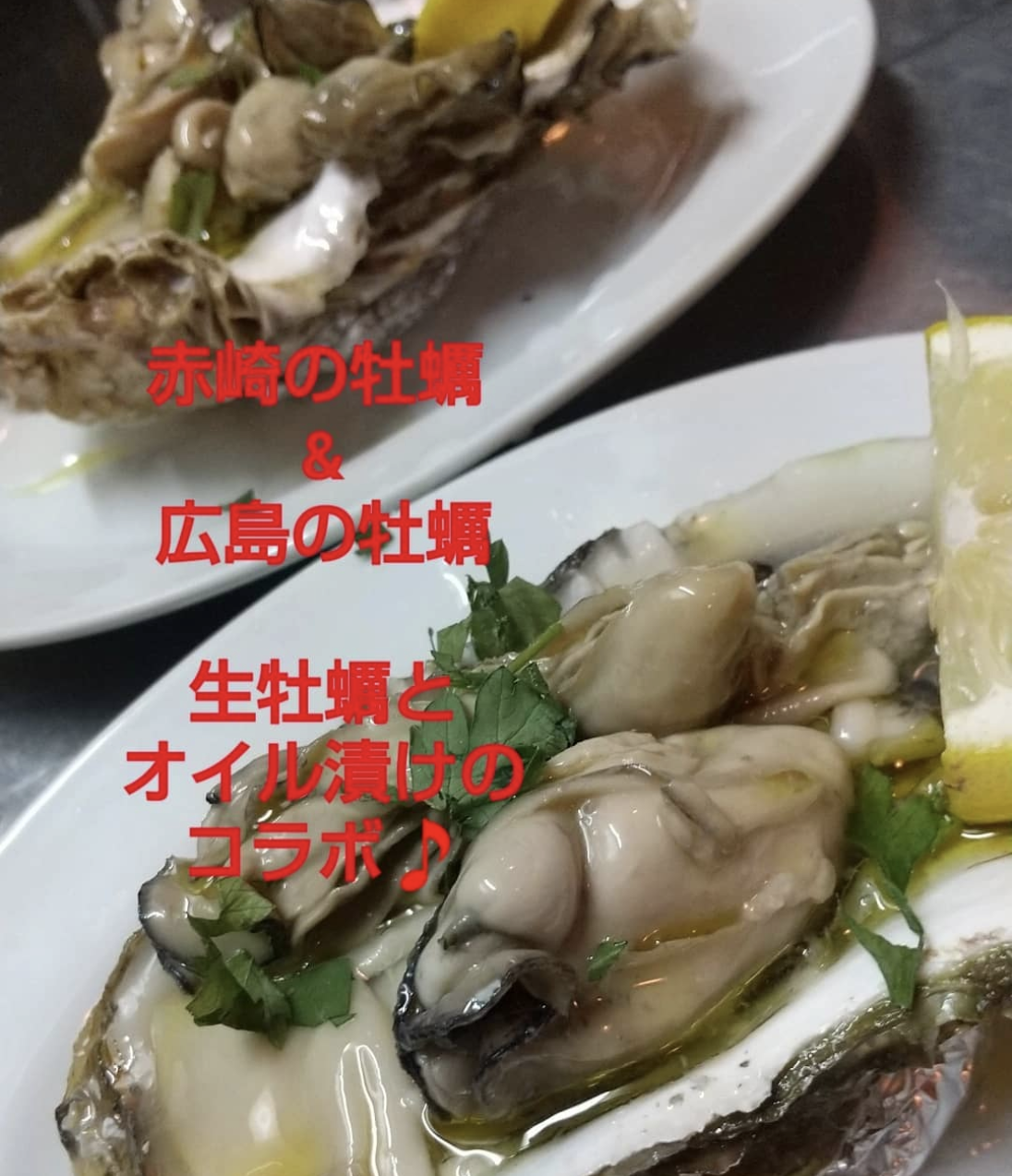 やべー！コラボ🎵