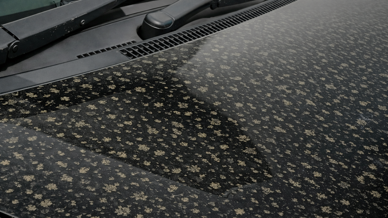 花粉・黄砂シーズンの洗車｜摩擦を増やさない3手順