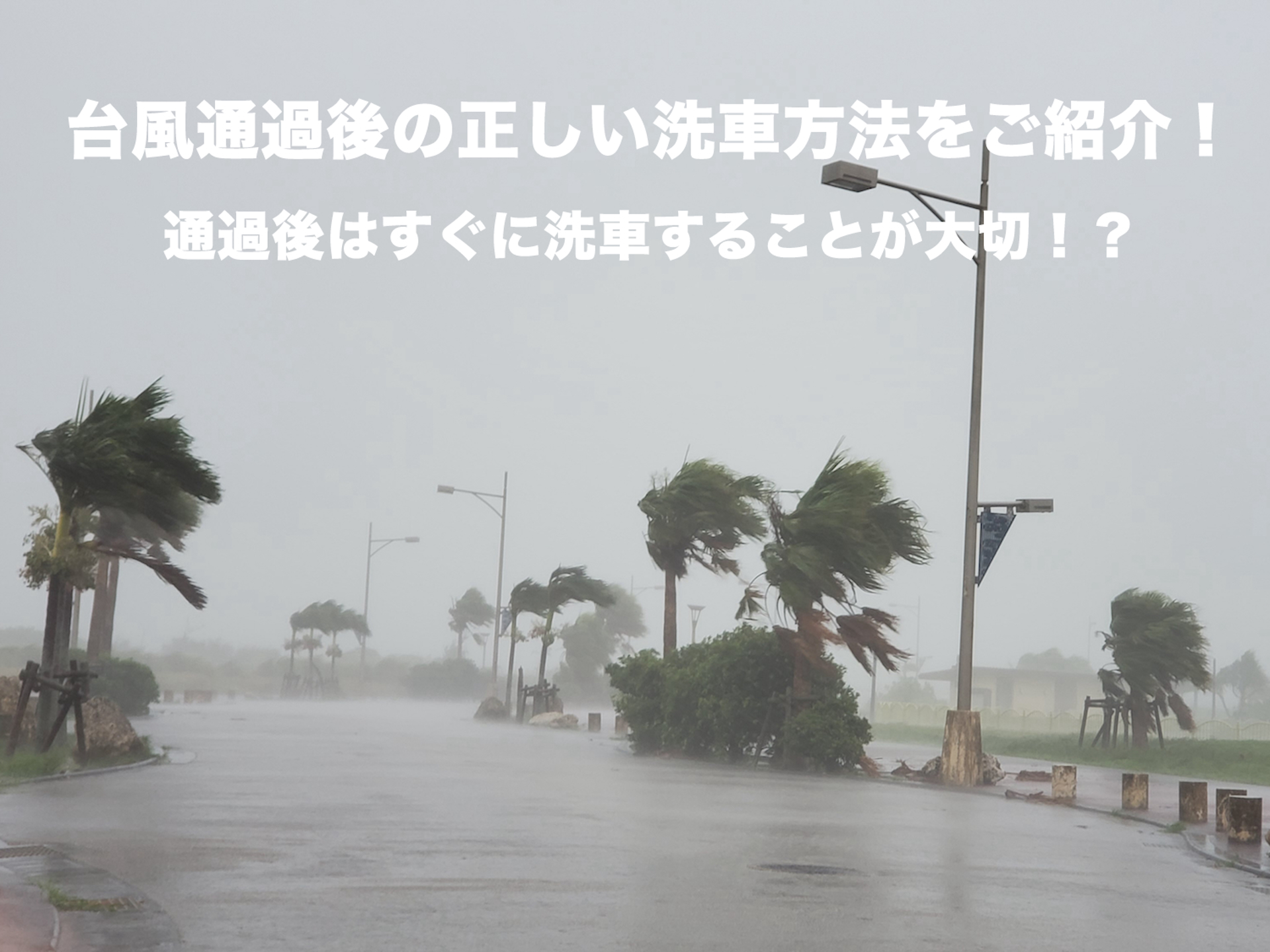 ”プロが教える”台風後の汚れ対策！車を美しく保つための洗車テクニック