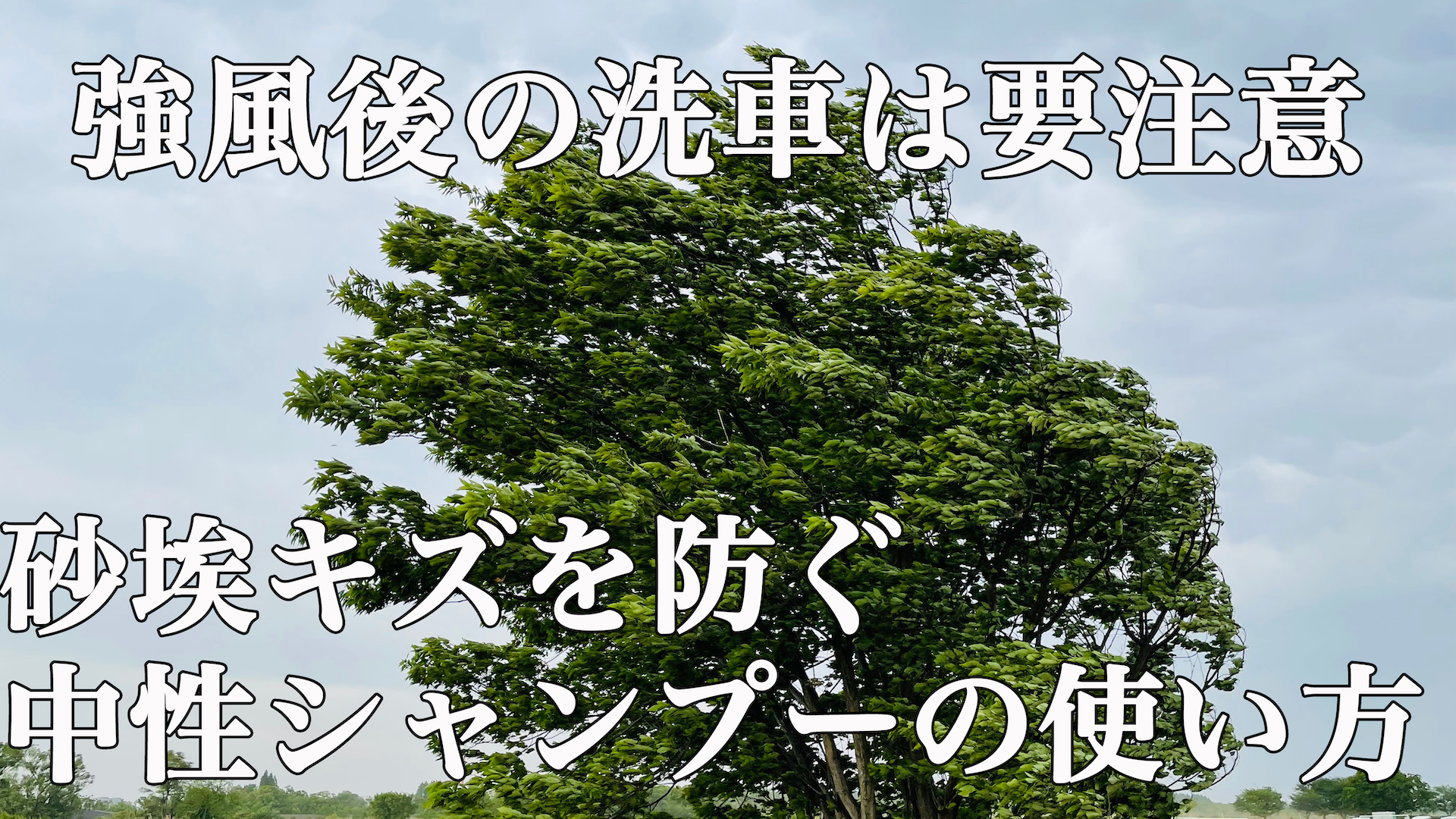 【保存版】強風後の洗車は要注意!砂埃キズを防ぐ中性シャンプーの使い方
