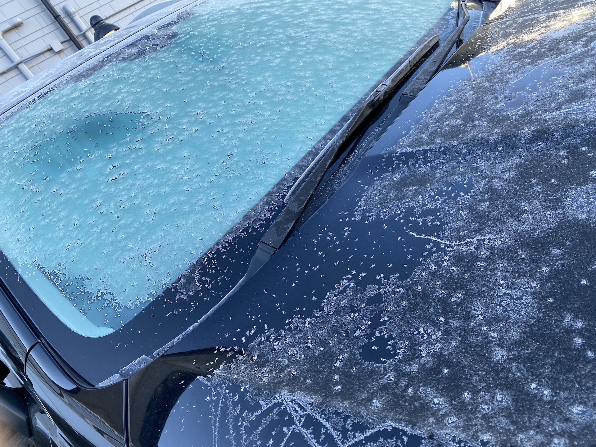 冬の洗車を楽しむ“秘訣”はカーコーティングにあり！