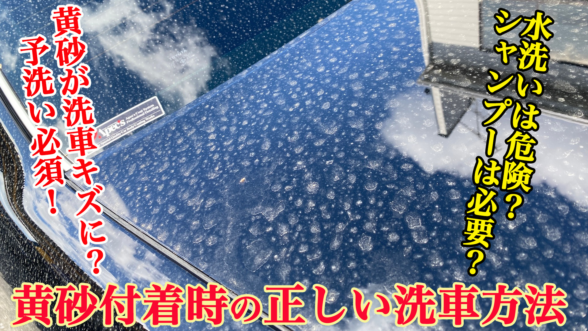 洗い洗車をする人必見！黄砂付着時の正しい洗車方法をプロが実演解説！