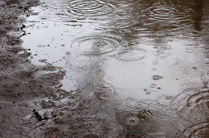 梅雨時期の洗車は必要？不必要？