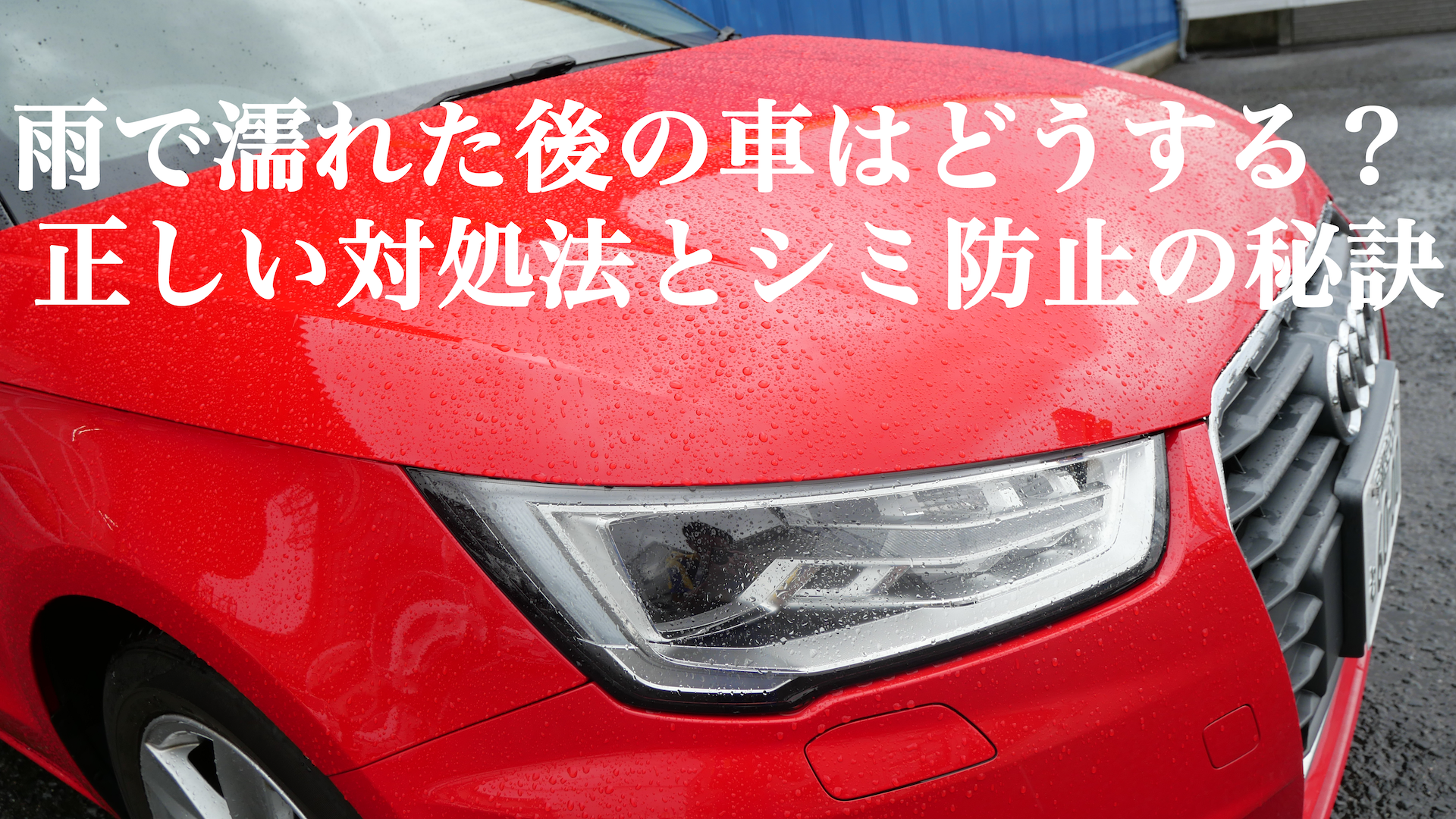 雨で濡れた後の車はどうする?正しい対処法とシミ防止の秘訣