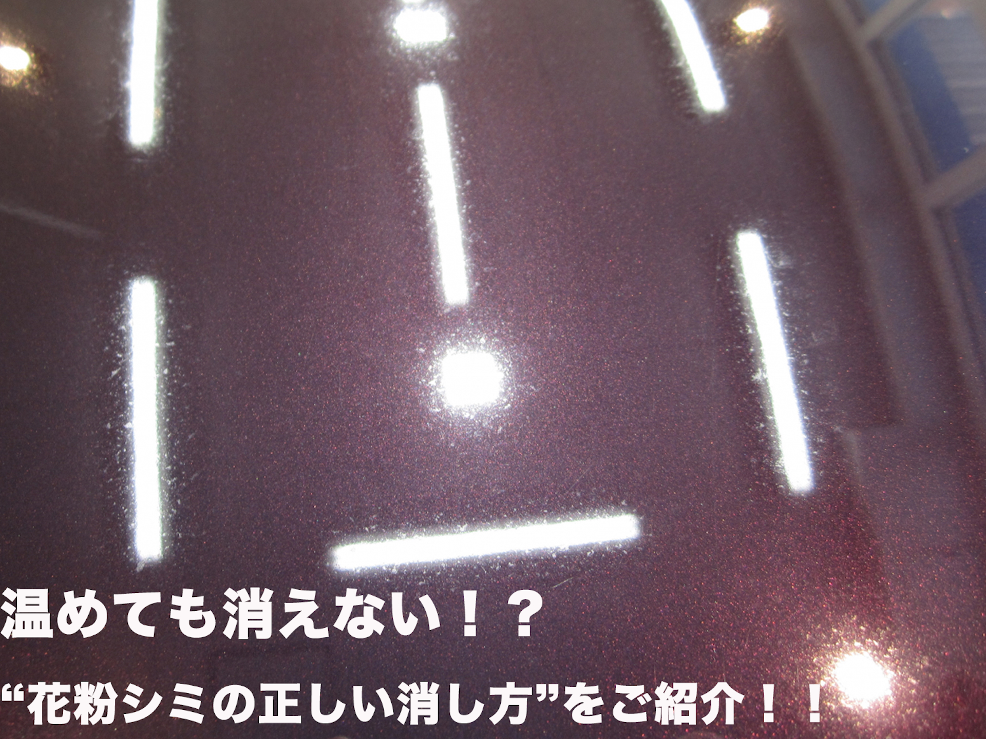 【みなさんの愛車は大丈夫ですか？】これを知れば怖くない、花粉シミの正しい除去方法！