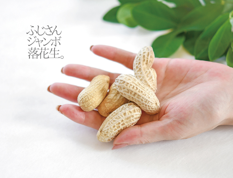 「ふじさんジャンボ落花生」予約受付開始日 のお知らせ