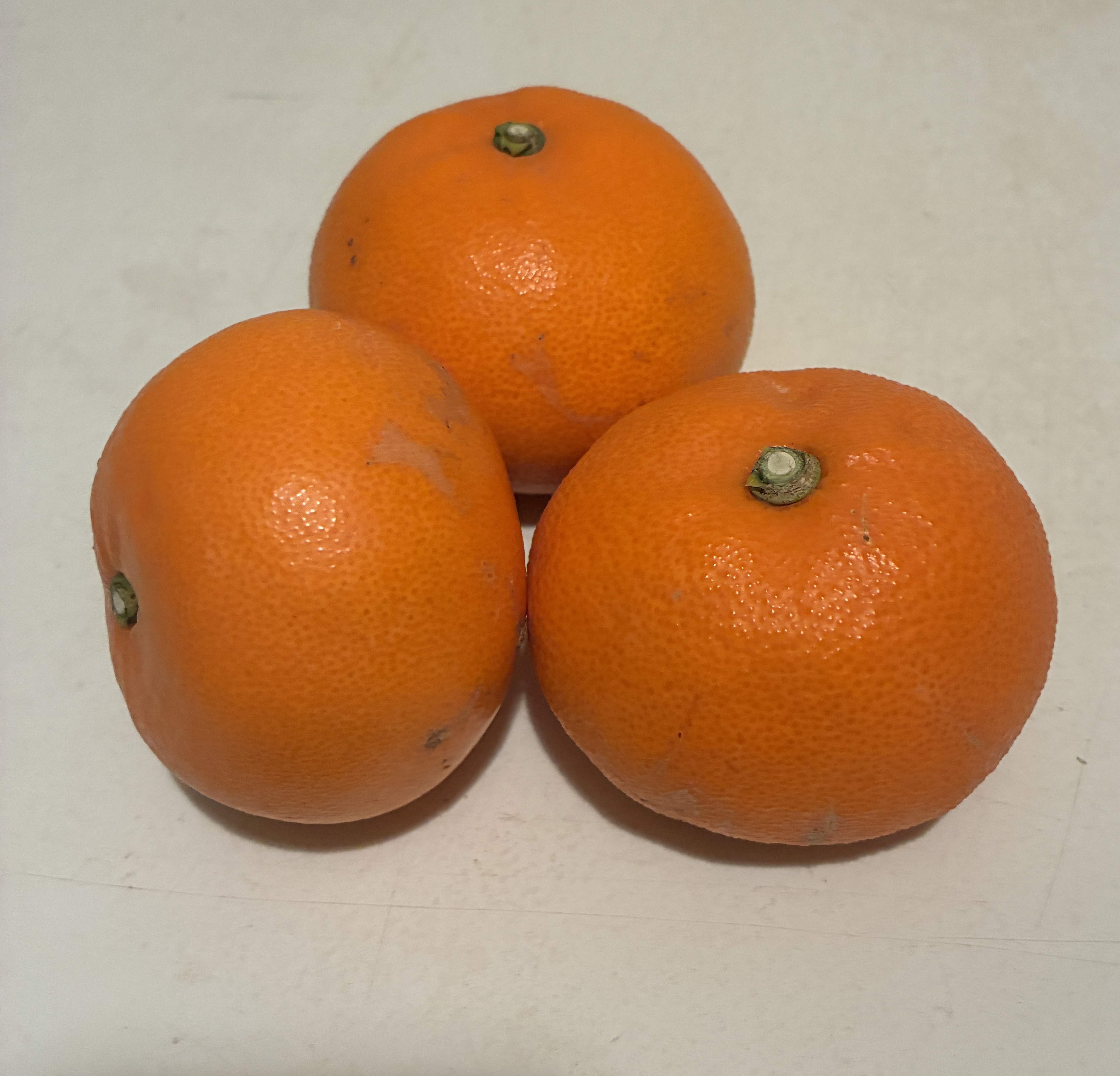 せとかみかん収穫