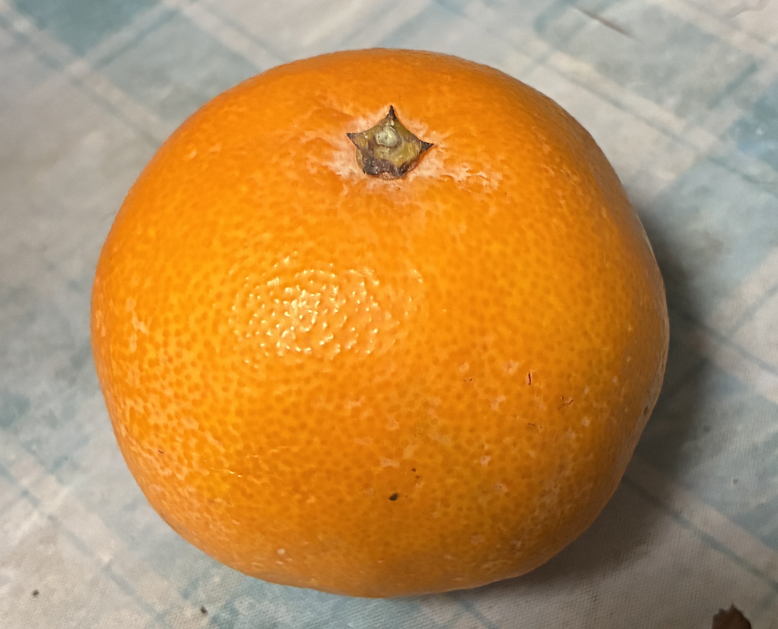 はるみ　訳ありお買い得日