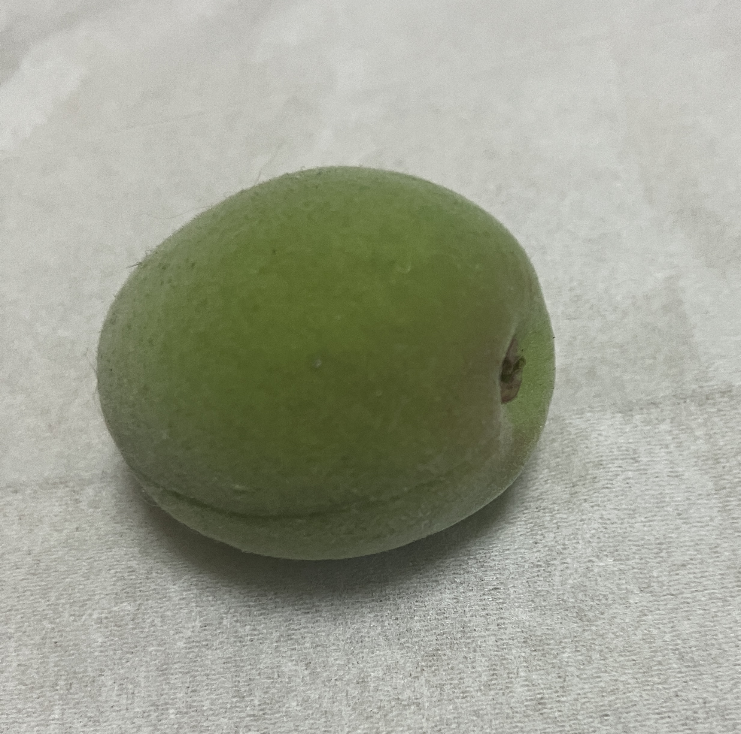 完全無農薬　南高梅