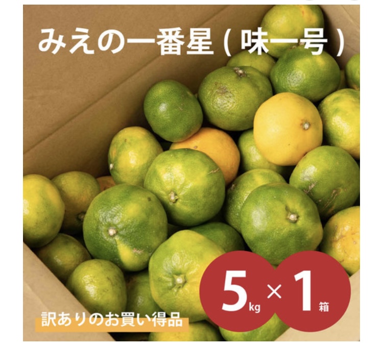 ブランドみかん　　みえの1番星