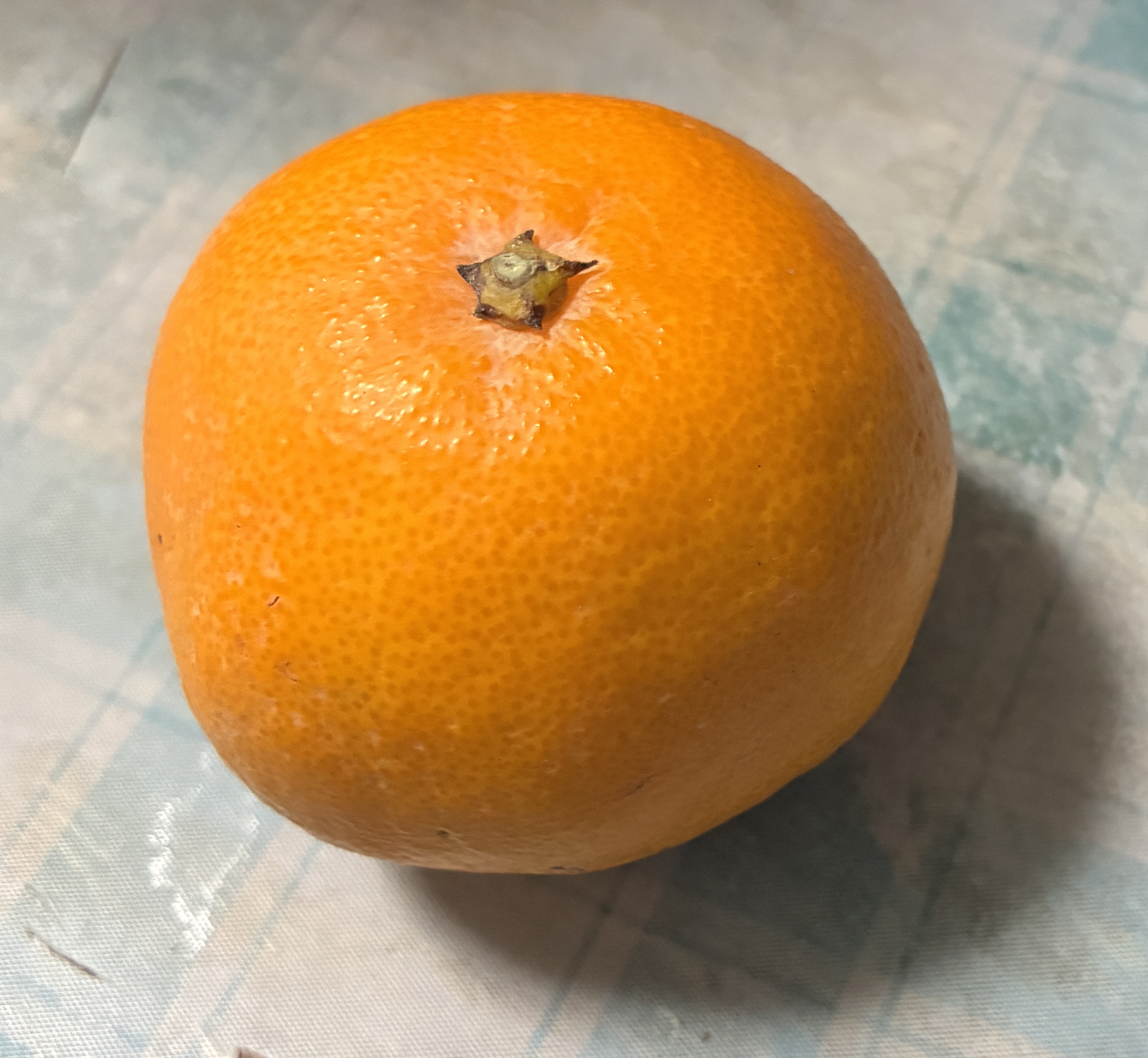 はるみ　2S B級品