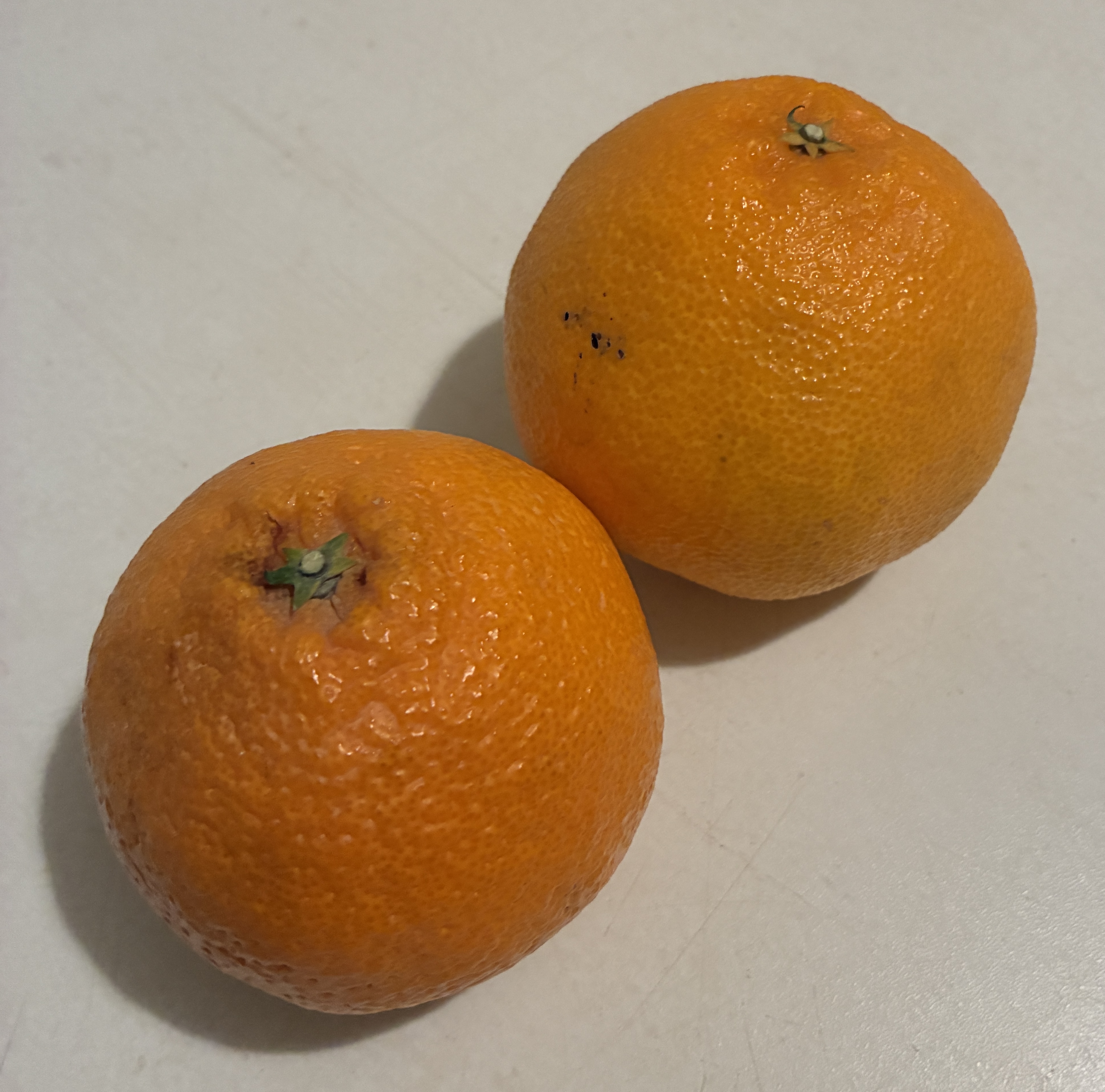 不知火(しらぬい)