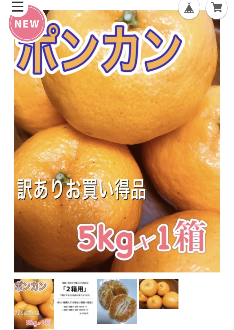 ポンカン販売スタート　限定40キロ分