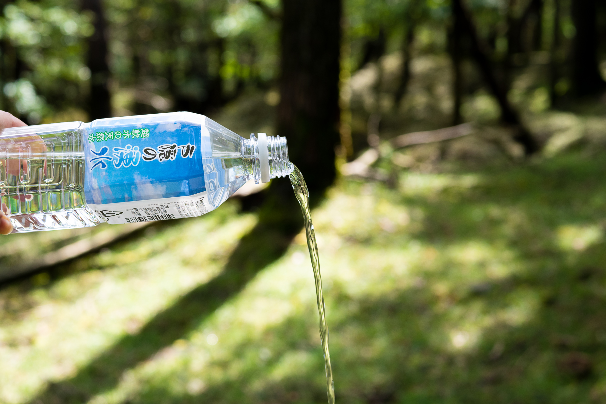 「戸隠の湧水」専門家も驚く驚異の水質