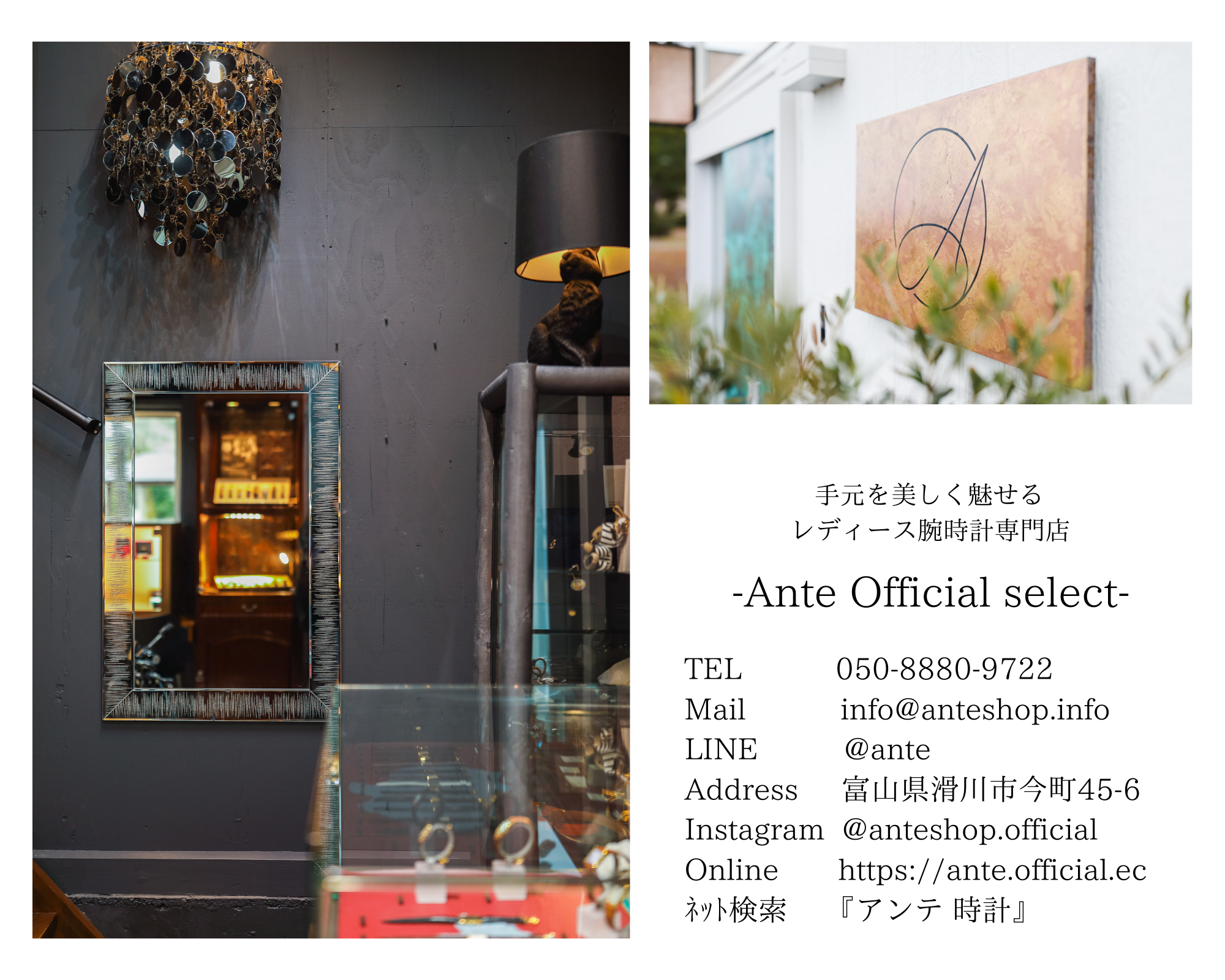 7月21日(日)インスタライブご紹介品まとめ