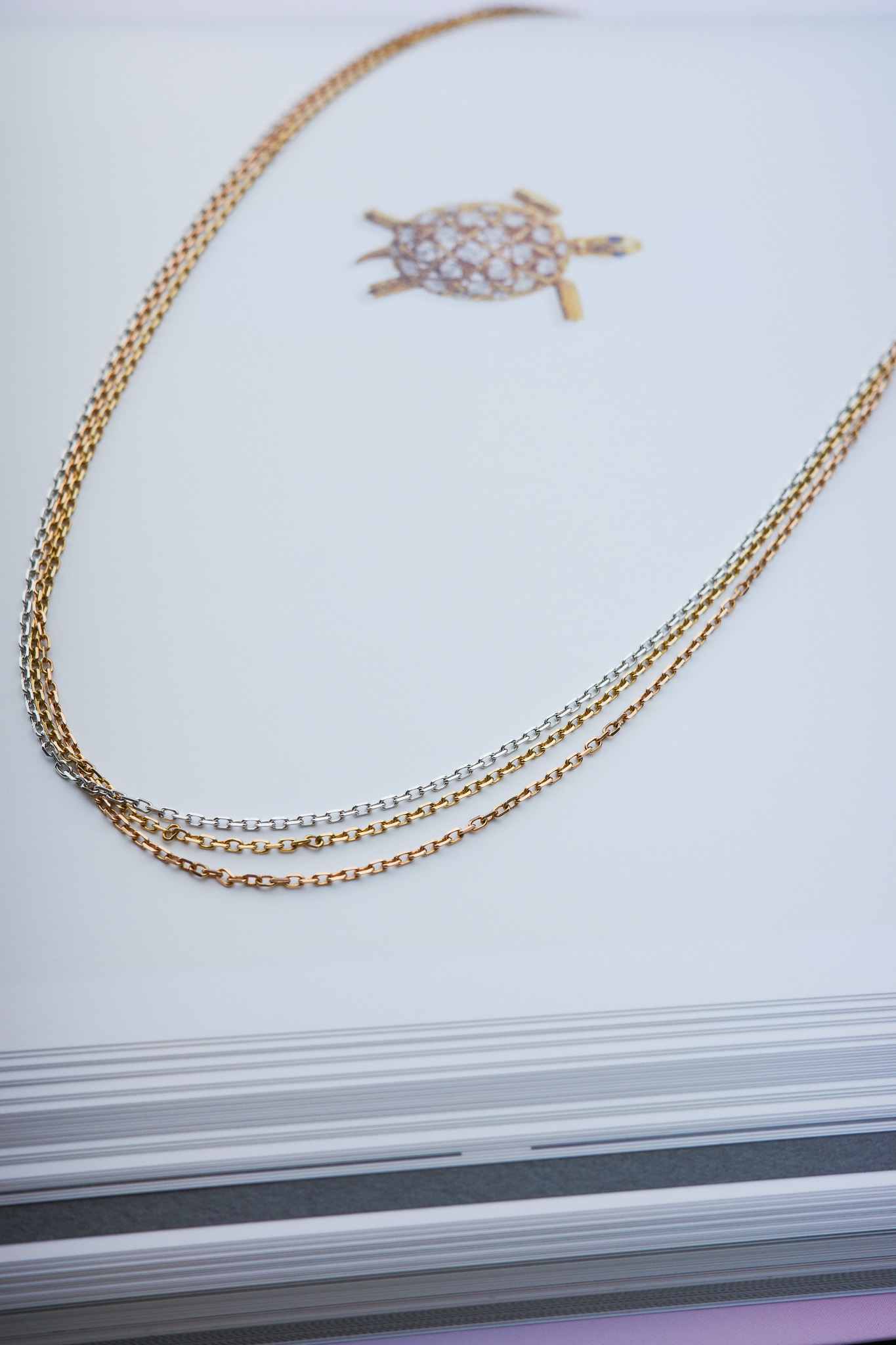 〜ライバルがいるかも〜 1ヶ月閲覧数ランキングTOP10&本音レビュー