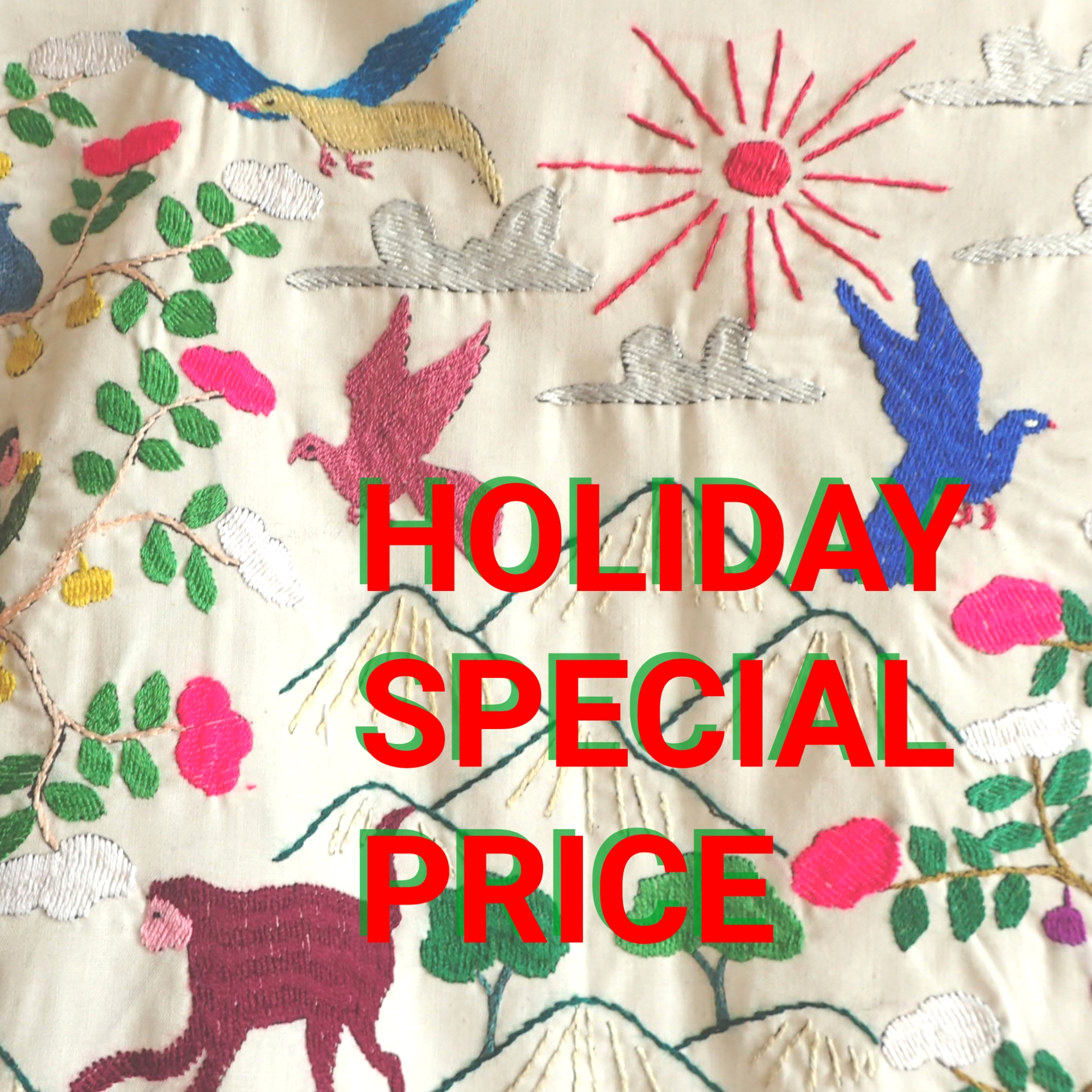 HOLIDAY SPECIAL PRICE 🌟