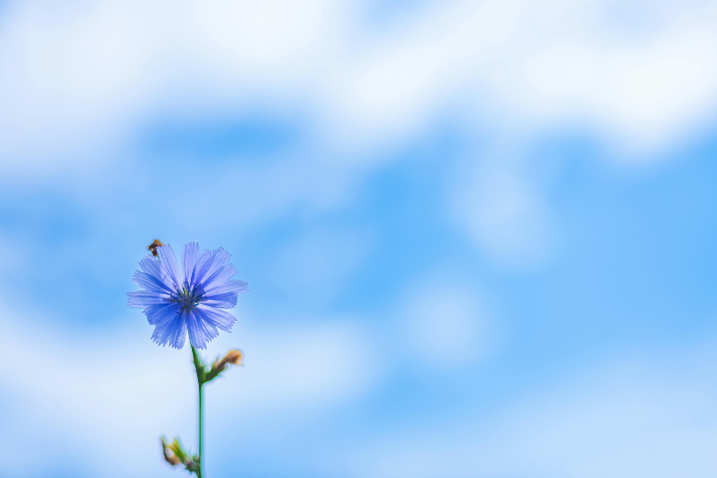 夏の保湿、足りていますか？