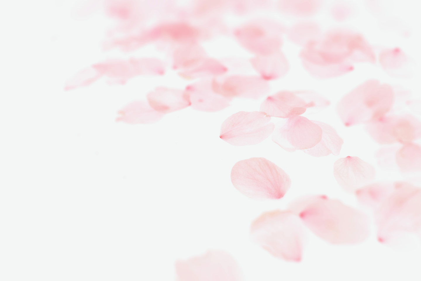 朝のはじまりに、夜のひとときに