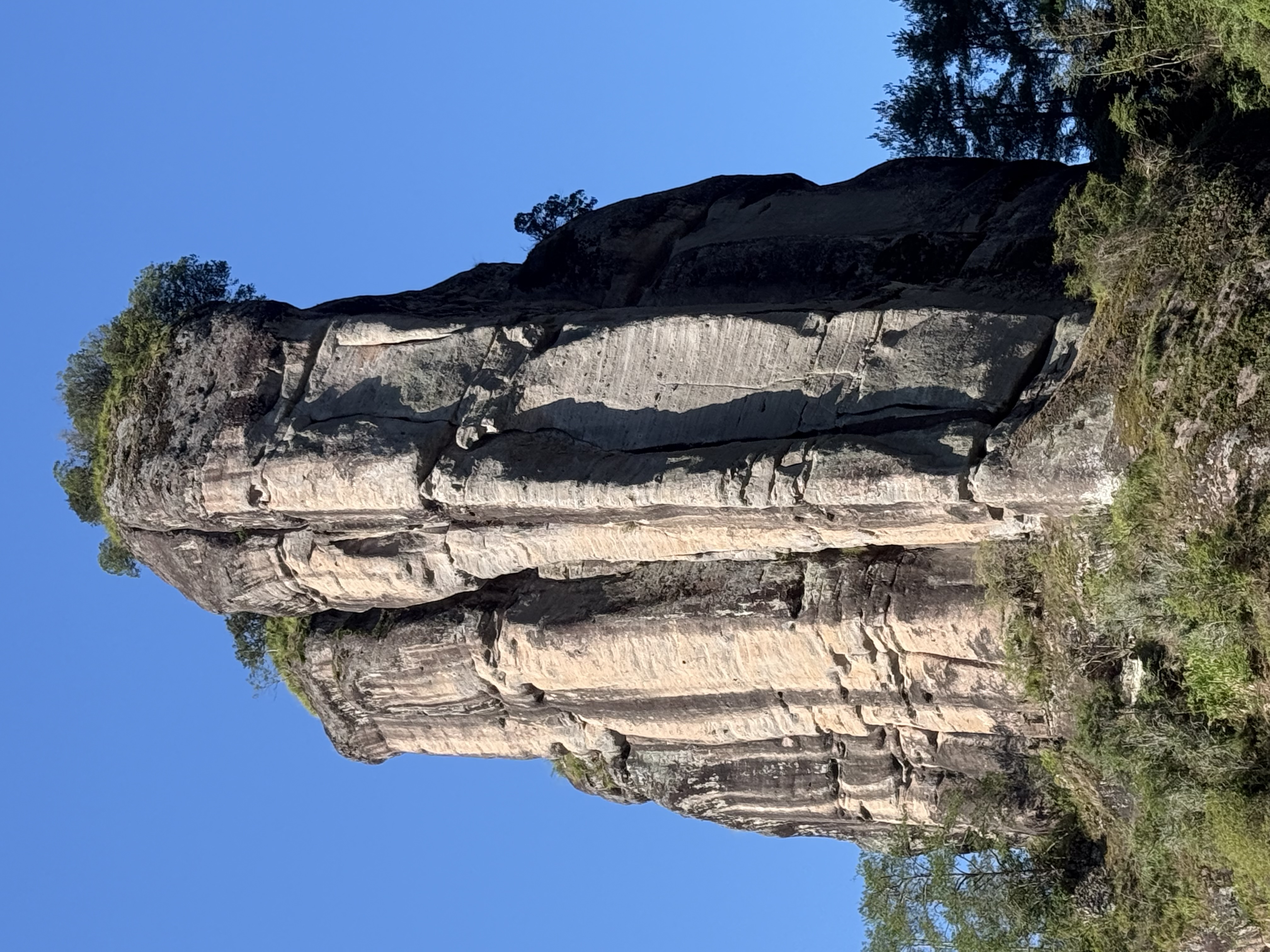 「正岩・半岩・洲茶」──違いを見極める特別な講座