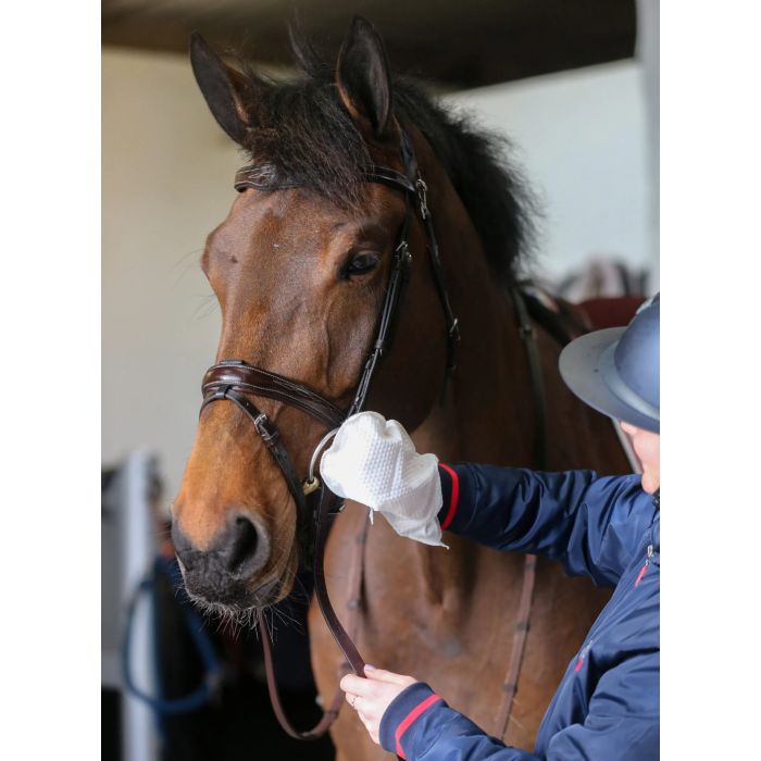 🧤 Belvoir レザークリーナーミトンで革製品のお手入れをもっと簡単に！