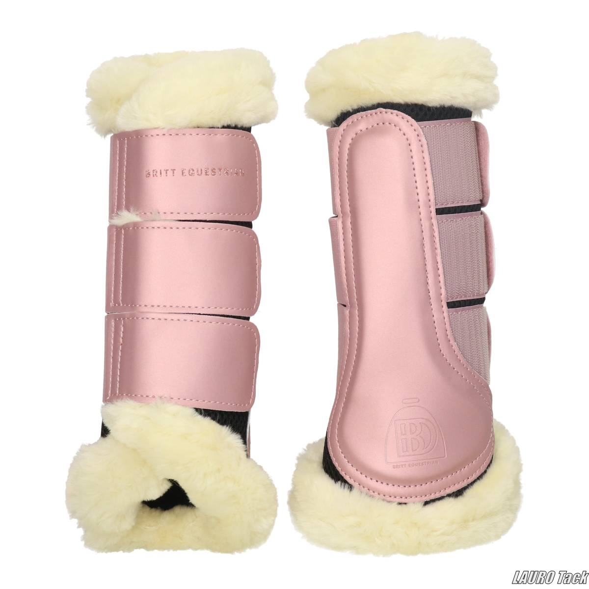 ❄️ 冬のクラブをやさしく彩る BRITT EQUESTRIAN の馬具たち