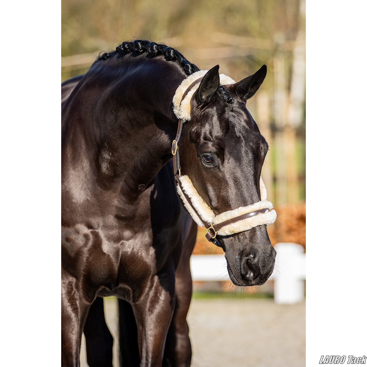 🐴 馬にやさしい無口を探している人へ SKØLの無口が安心感で選ばれる理由