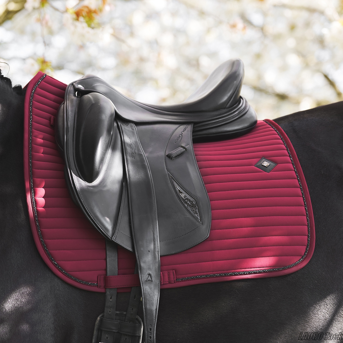 カラーで楽しむ冬の馬具スタイル。Imperial Ridingのおすすめ3選