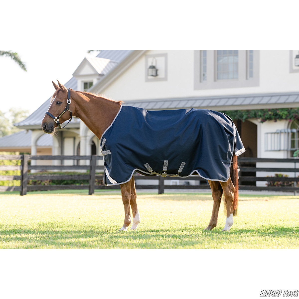 🐴【ブランド紹介】Horseware Ireland|馬の「管理」を考え続けてきたメーカー