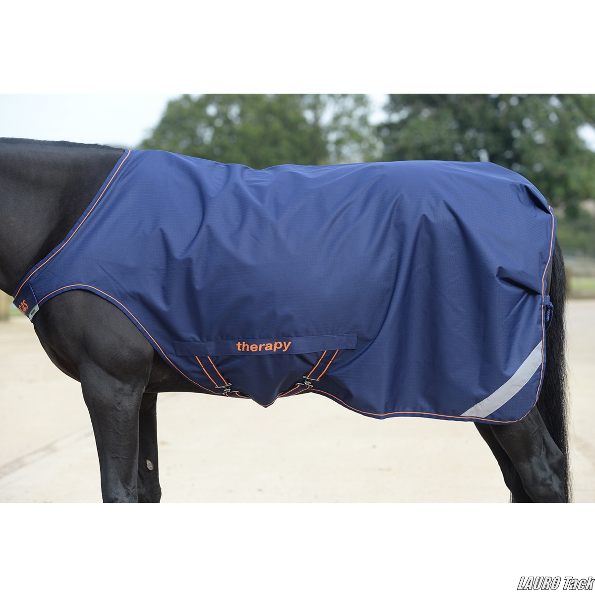 騎乗していない時間、ちゃんとケアできてる？ 乗らない時の馬の体を守る「ウォーカーラグ」という選択