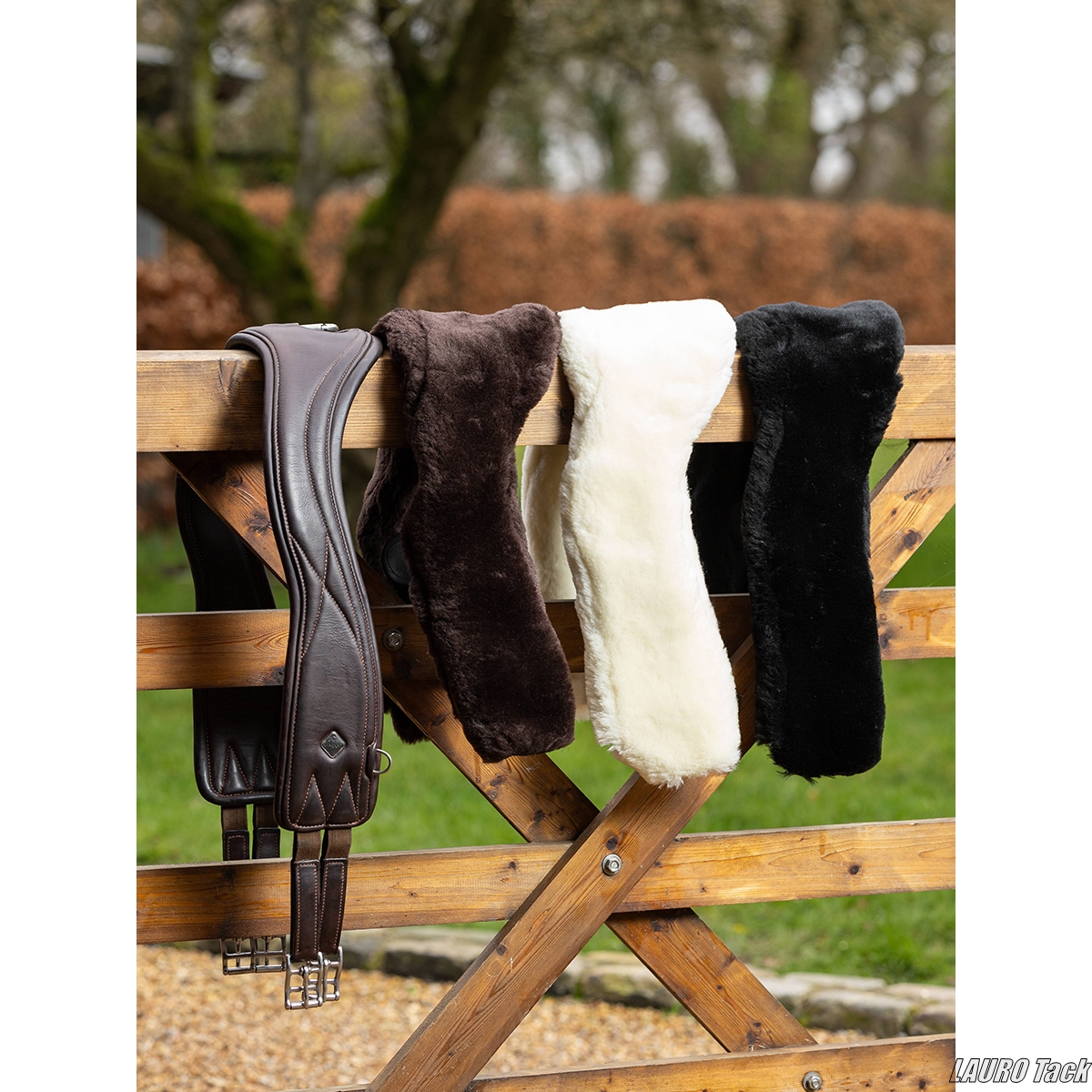 【乗馬クラブの移籍は普通？】私が6クラブ見学して分かった判断基準とリアル