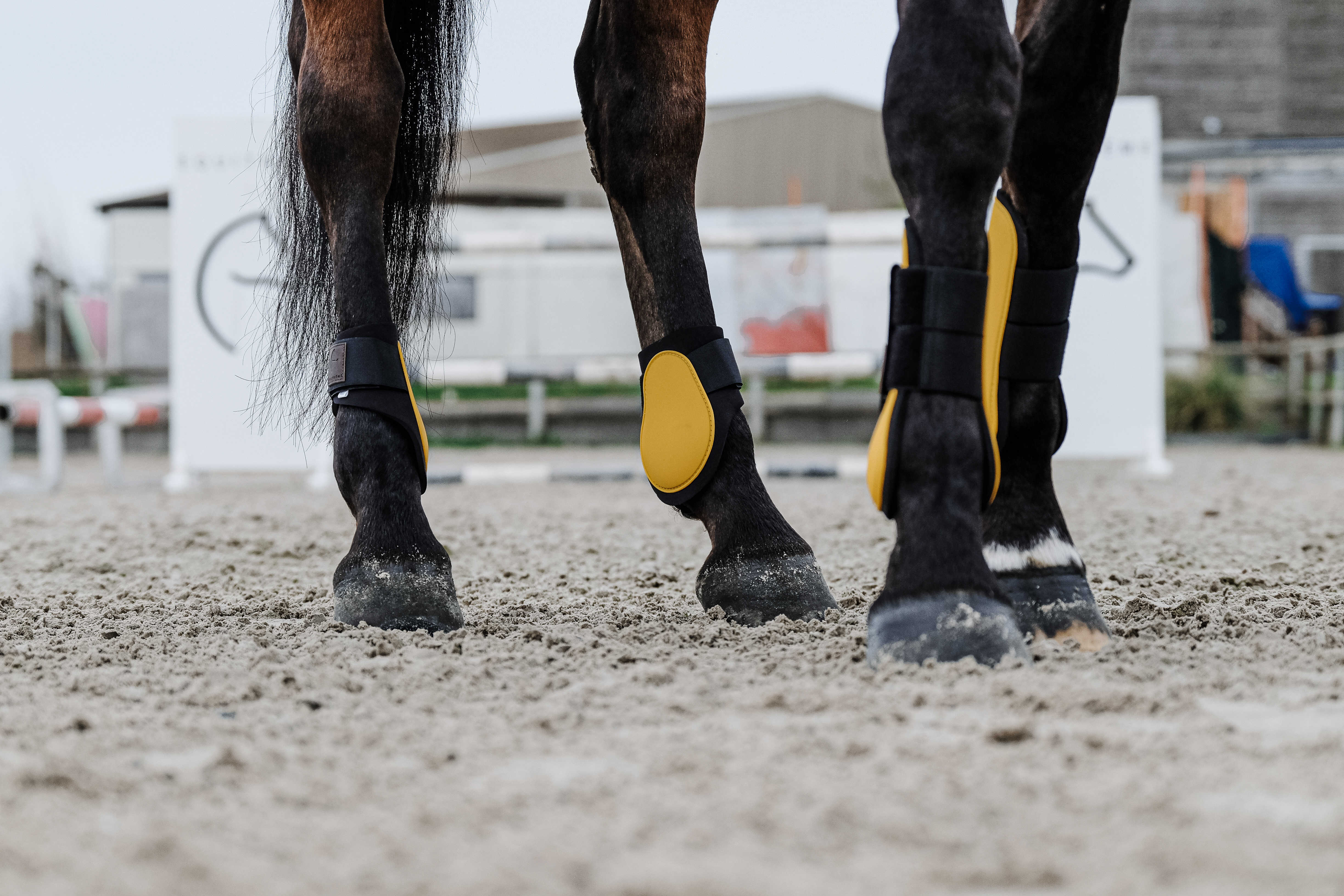 🌸 EQUITHÈME Tara フットロックブーツ（後肢用）〜 前後で揃えてもっと可愛く！〜