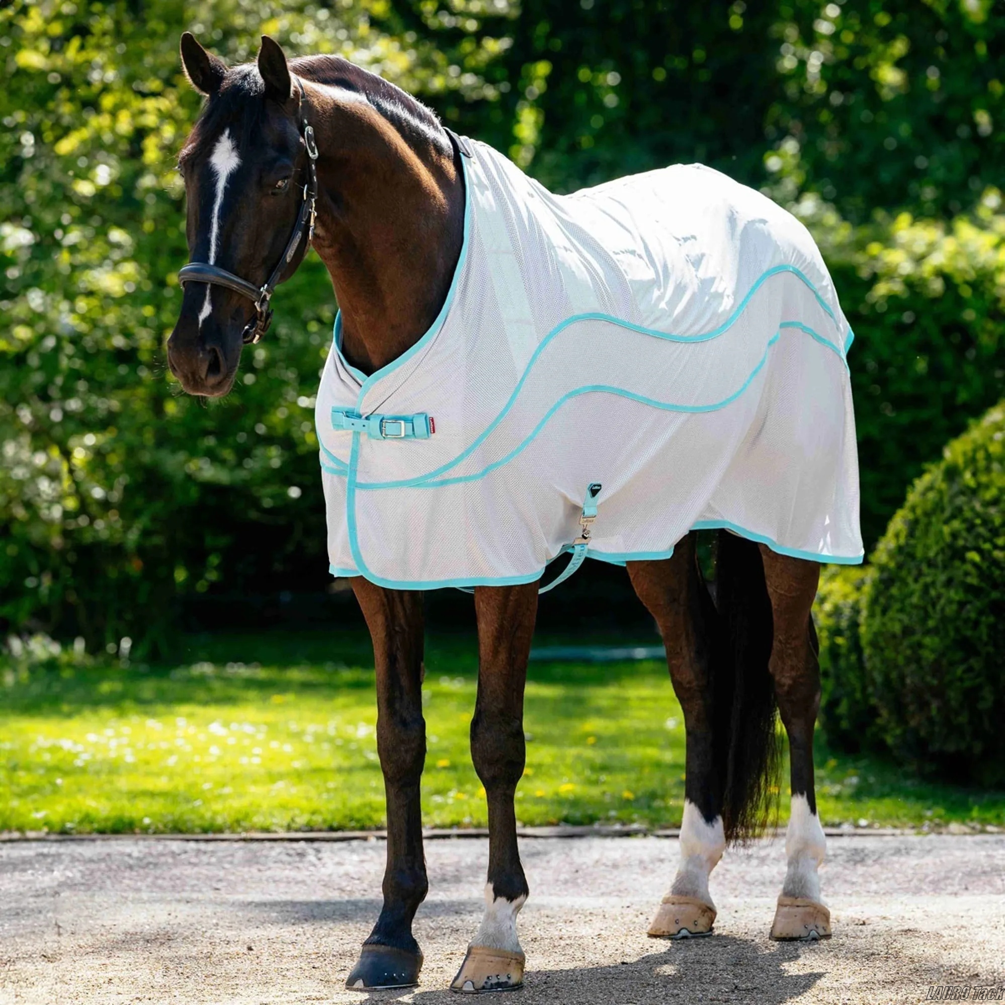 クーリングラグは進化する? LeMieuxが発表した「Crystal Cooler Rug」に注目