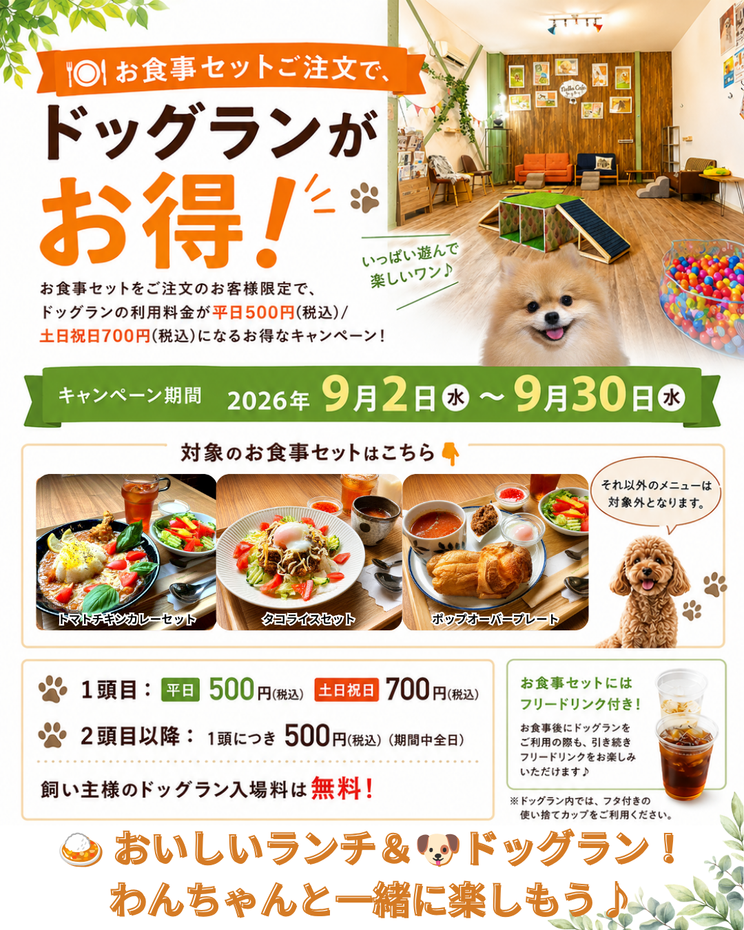 ドッグランお得情報