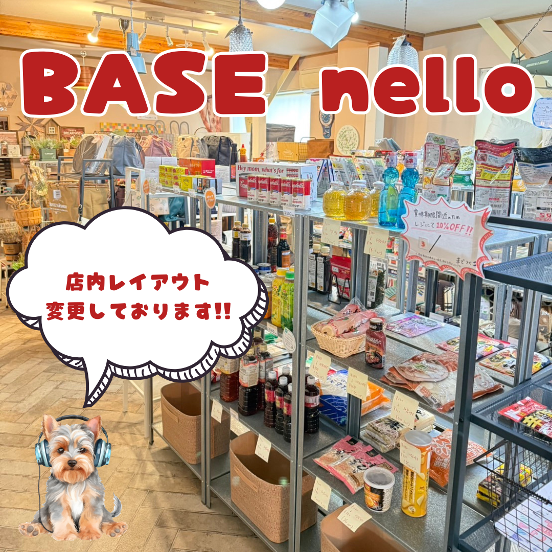 🌿🐶✨ ドッグランOPENに向けて店内レイアウト変更 ✨🐶🌿