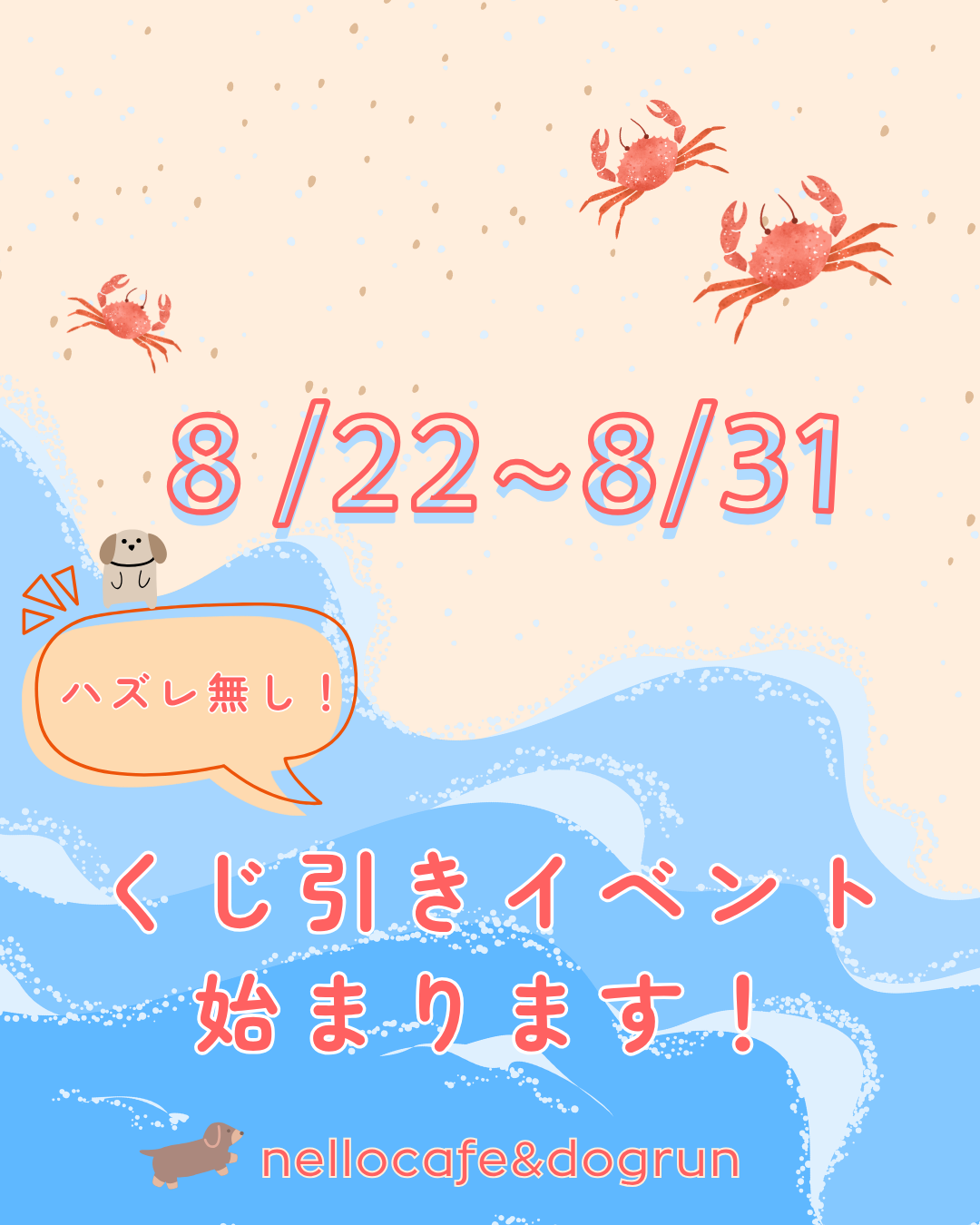 ハズレ無し！くじ引きイベント開催！