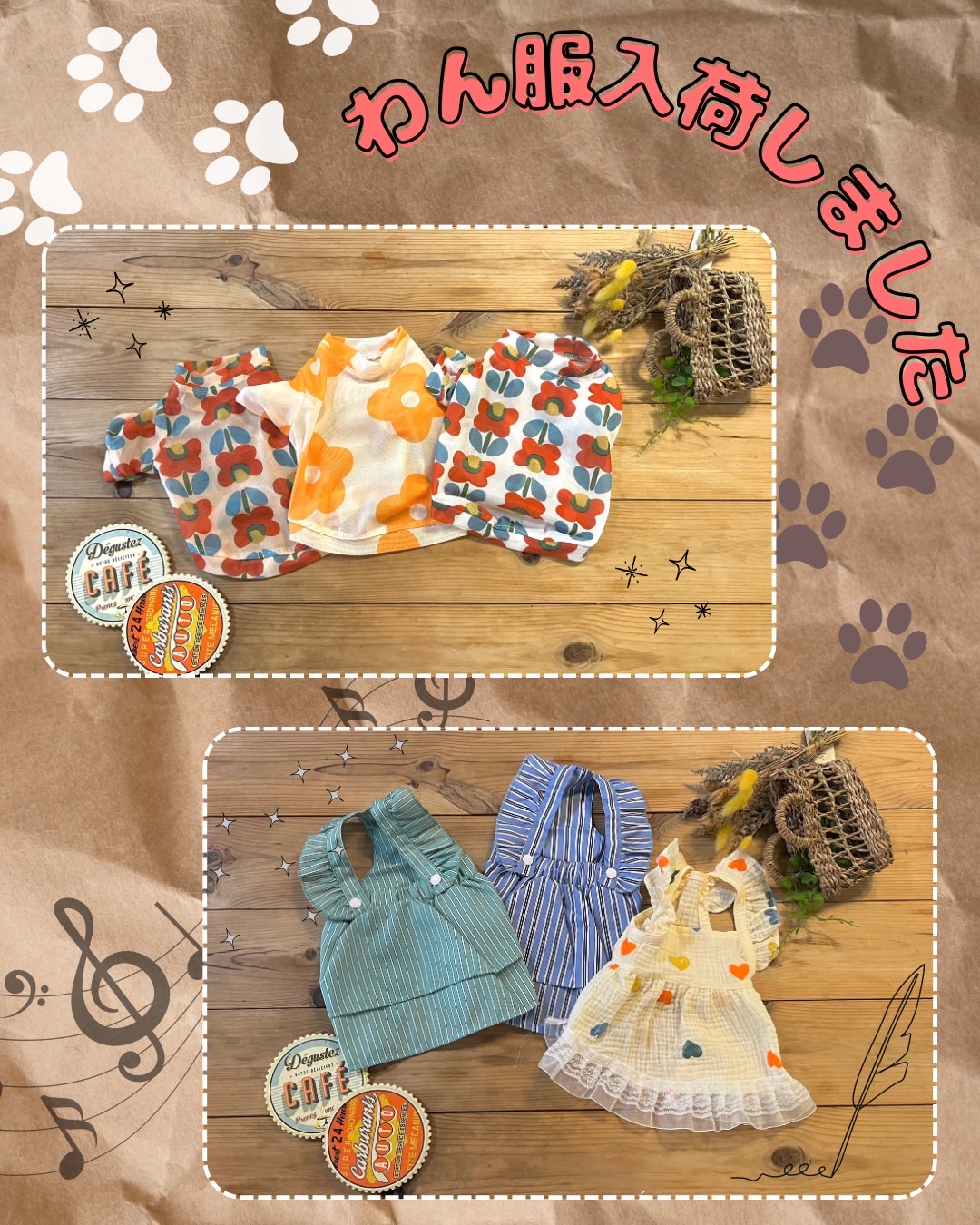 ワン服新商品入荷しました🐶🐾