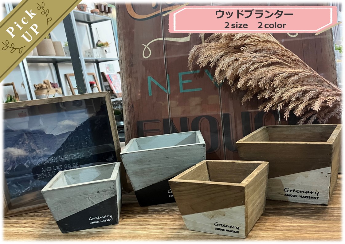 秋を感じるウッドプランター🍁