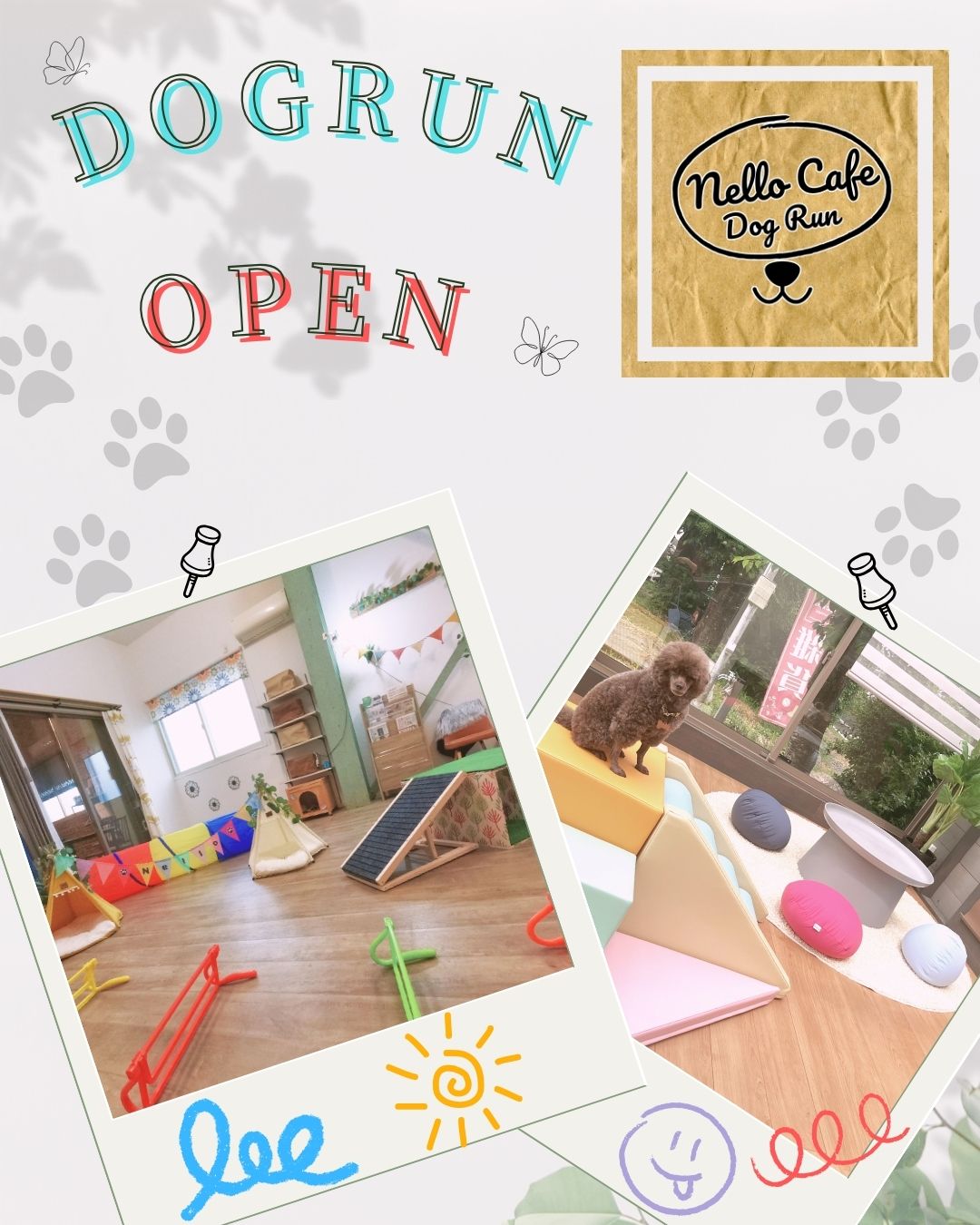 DOGRUN OPEN !