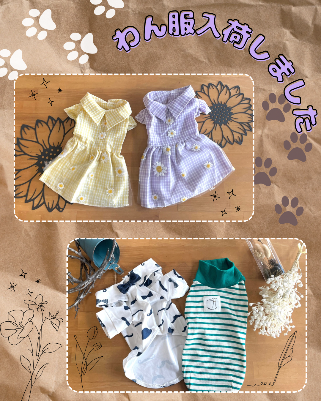 わん服新商品です🤩