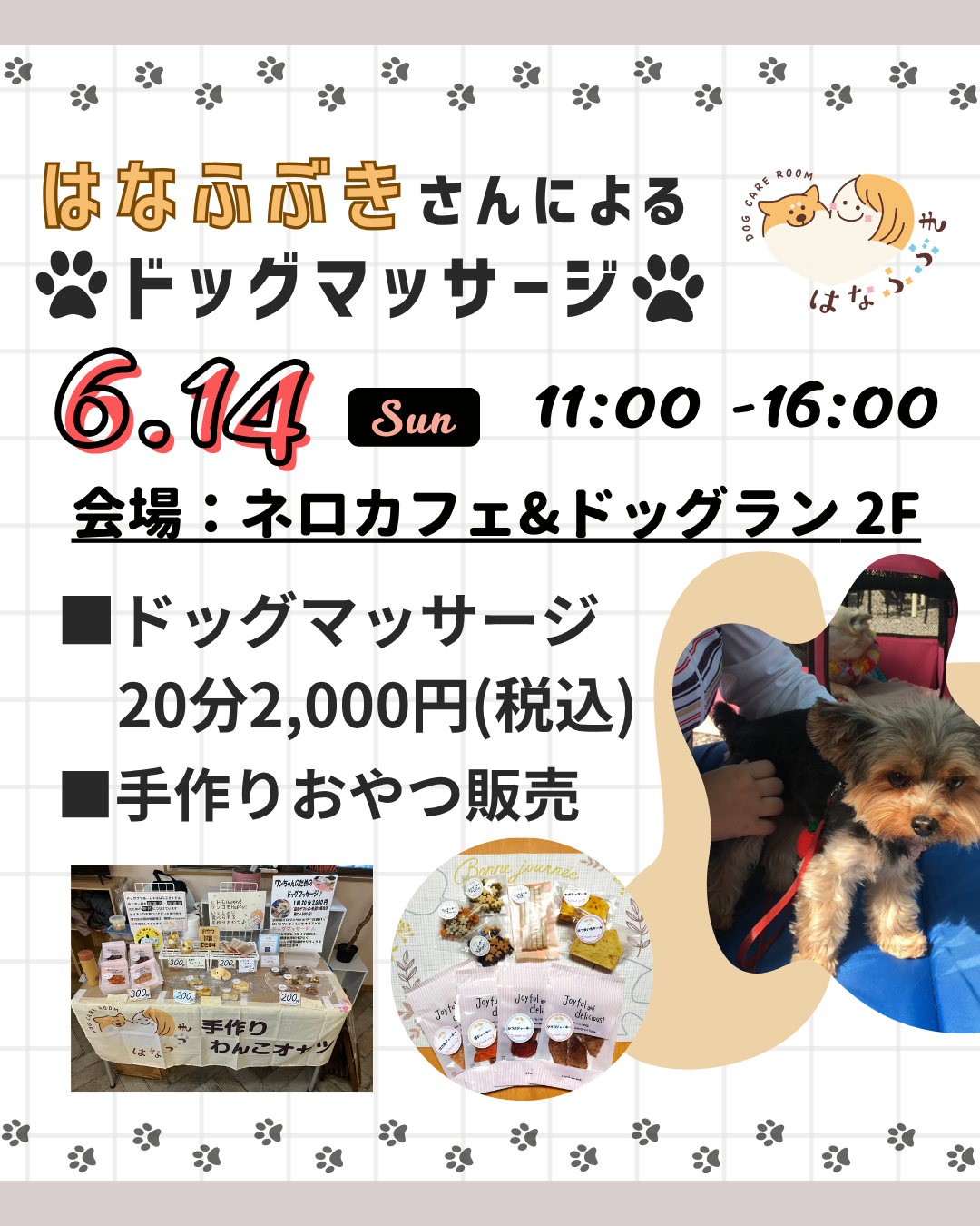 ドッグマッサージ開催💕
