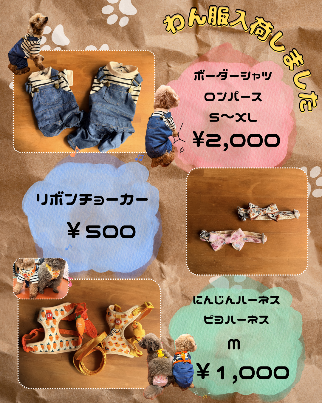 🌸新商品入荷🌸