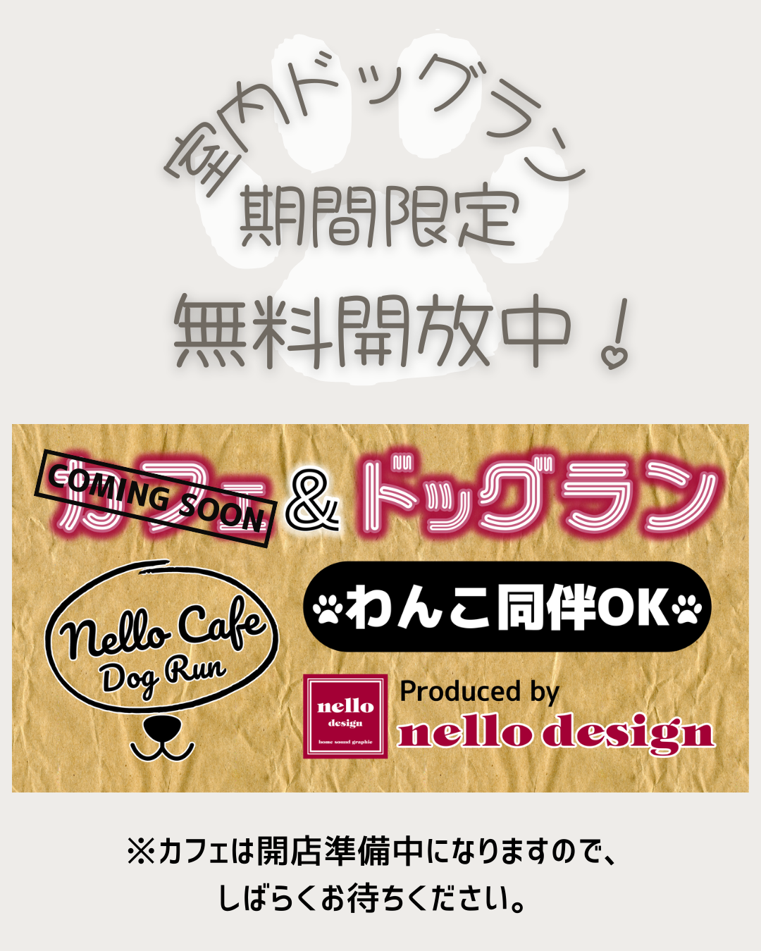 室内ドッグラン🐾期間限定‼️無料開放中🎉