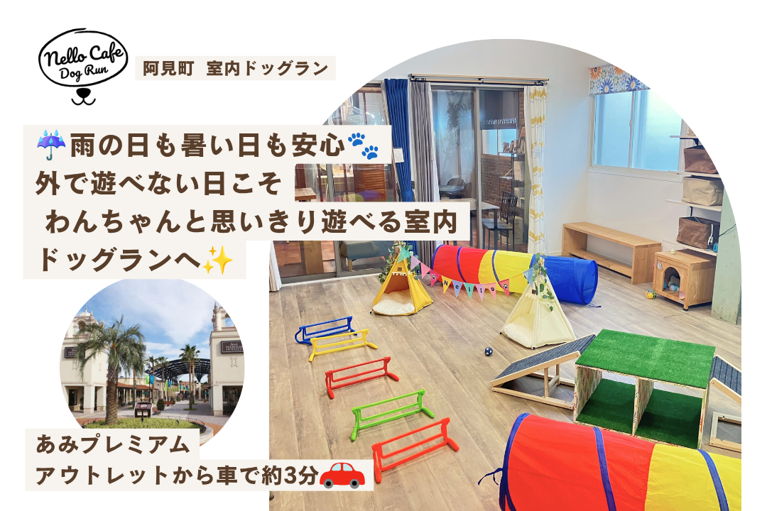 ネロの室内ドッグラン♬