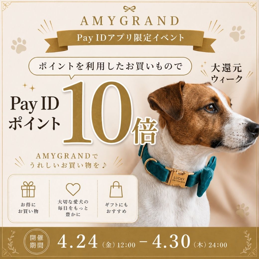 PAY IDアプリからAMYGRANDのお買い物をすると、ポイント10倍✨